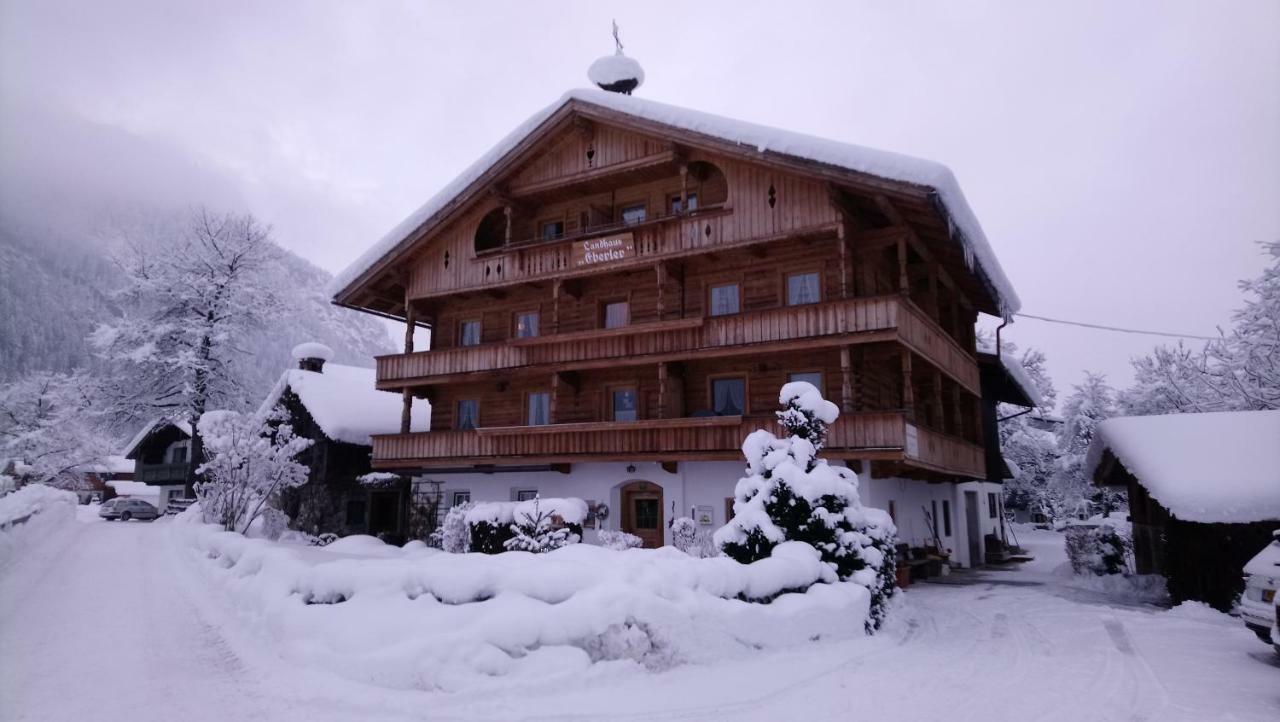 Landhaus Eberler Майрхофен Экстерьер фото